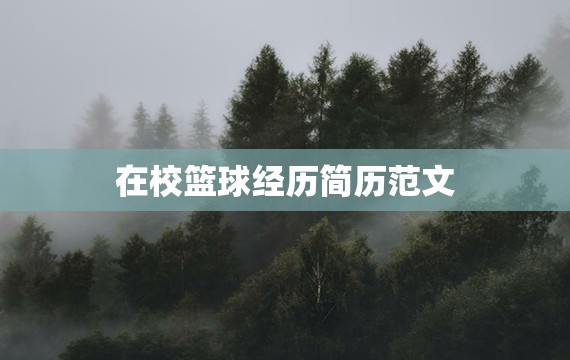 如何制定一个有效的篮球训练支持计划_0